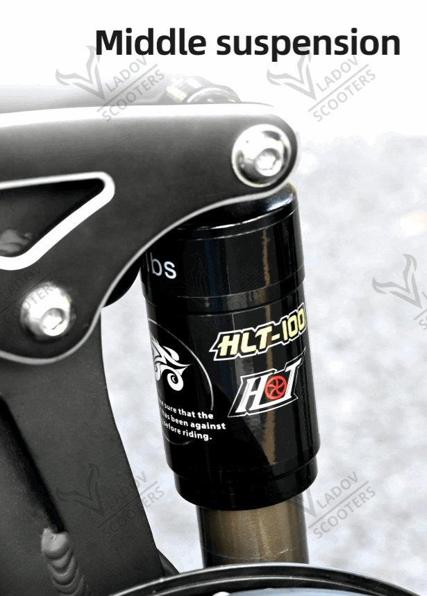 Електрически велосипед ENGWE Engine X - 250W, до 120 км пробег