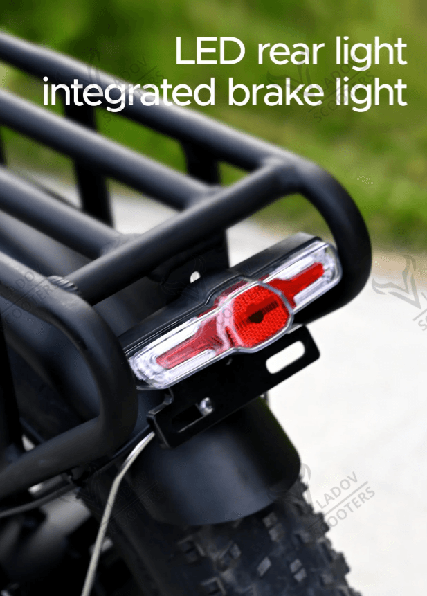 Електрически велосипед ENGWE Engine X - 250W, до 120 км пробег