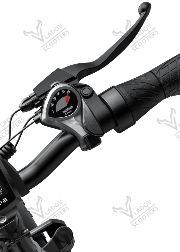 Електрически велосипед ENGWE EP - 2 Pro - 250W, до 120 км пробег