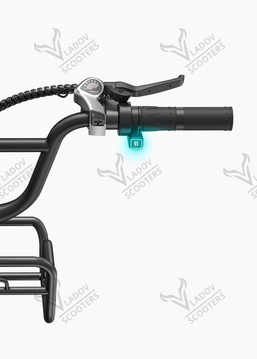 Електрически велосипед ENGWE L20 Boost - 250W, до 140 км пробег